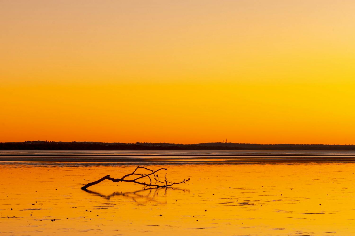 Ta vakre bilder i den gylne time